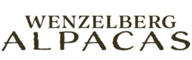Wenzelberg Alpacas